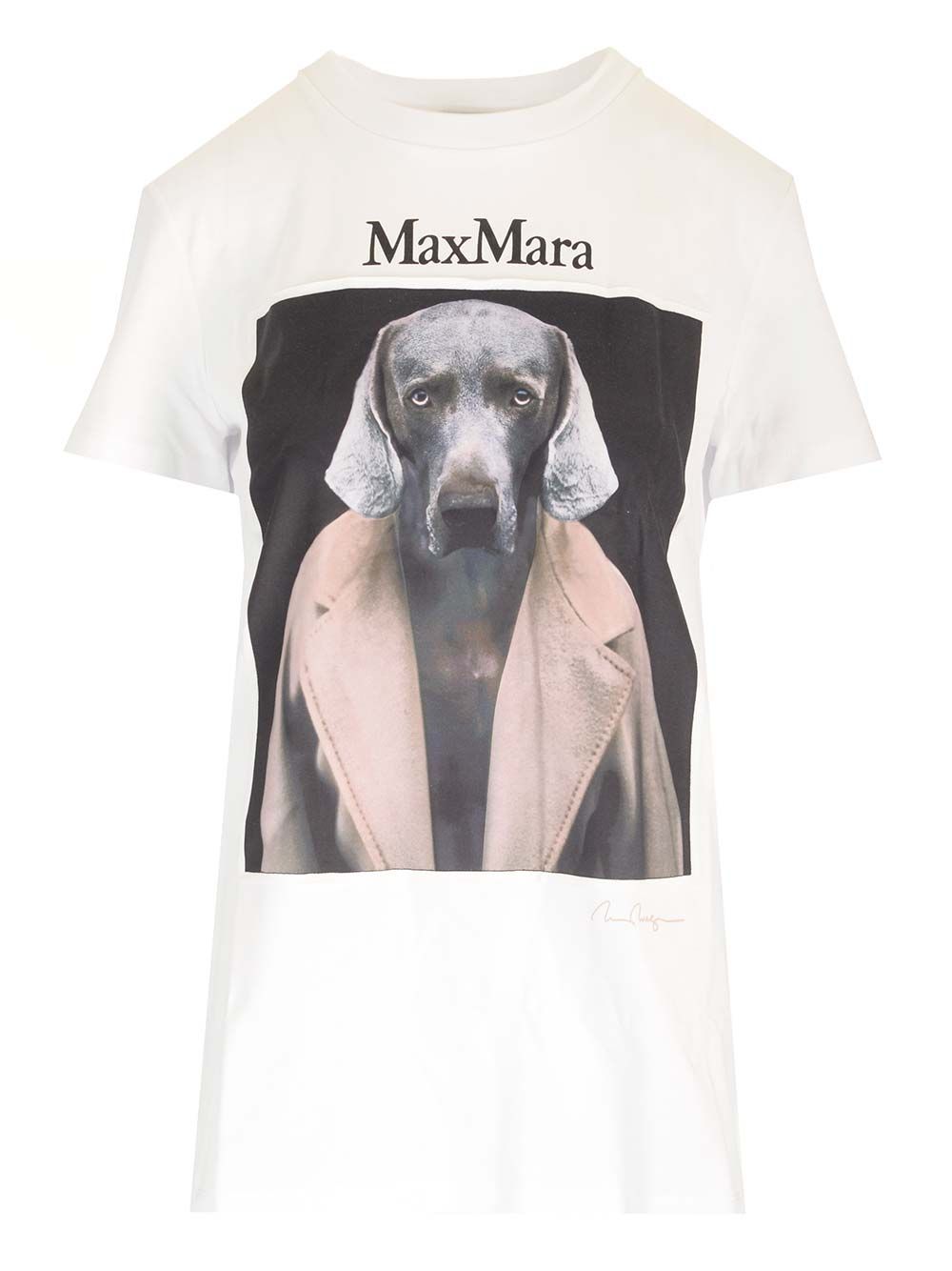 Max Mara Cotton Jersey T-Shirt - Bianco | aa087e045765be6904b074ee3dc3dcfb00f9f553