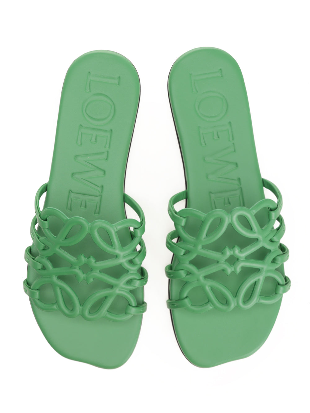 Loewe Petal Sandali - Verde | a041b2b461faac01520b707a668f1afd2a2093d7