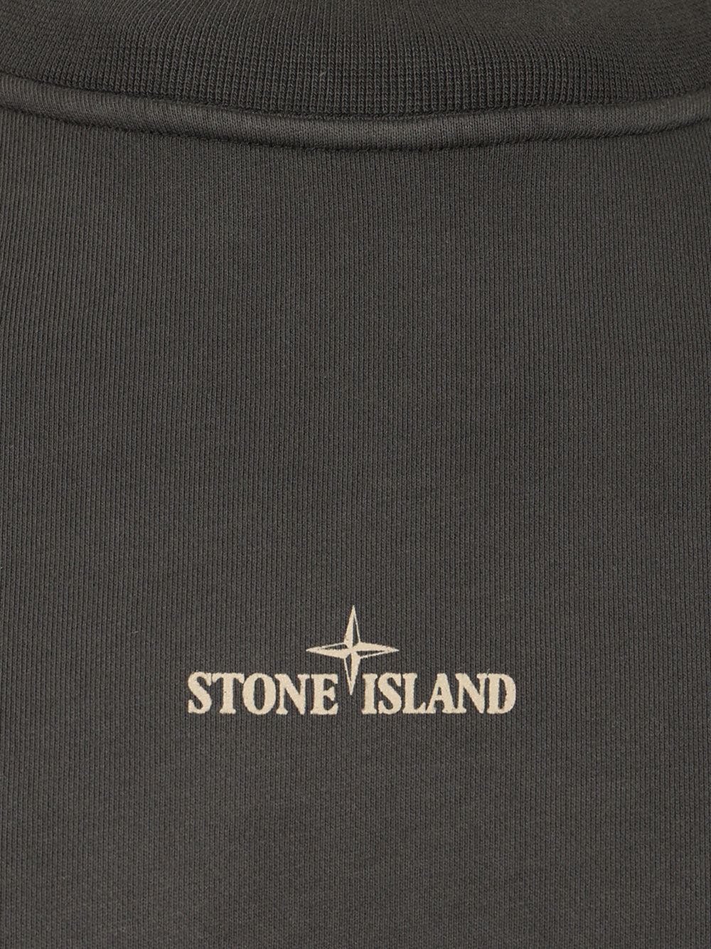Stone Island Oversized Crewneck Sweatshirt Sweatshirts - Grey | 0c3fb10f1a9af1e0e4adfcdbb488fe63cb4c8497