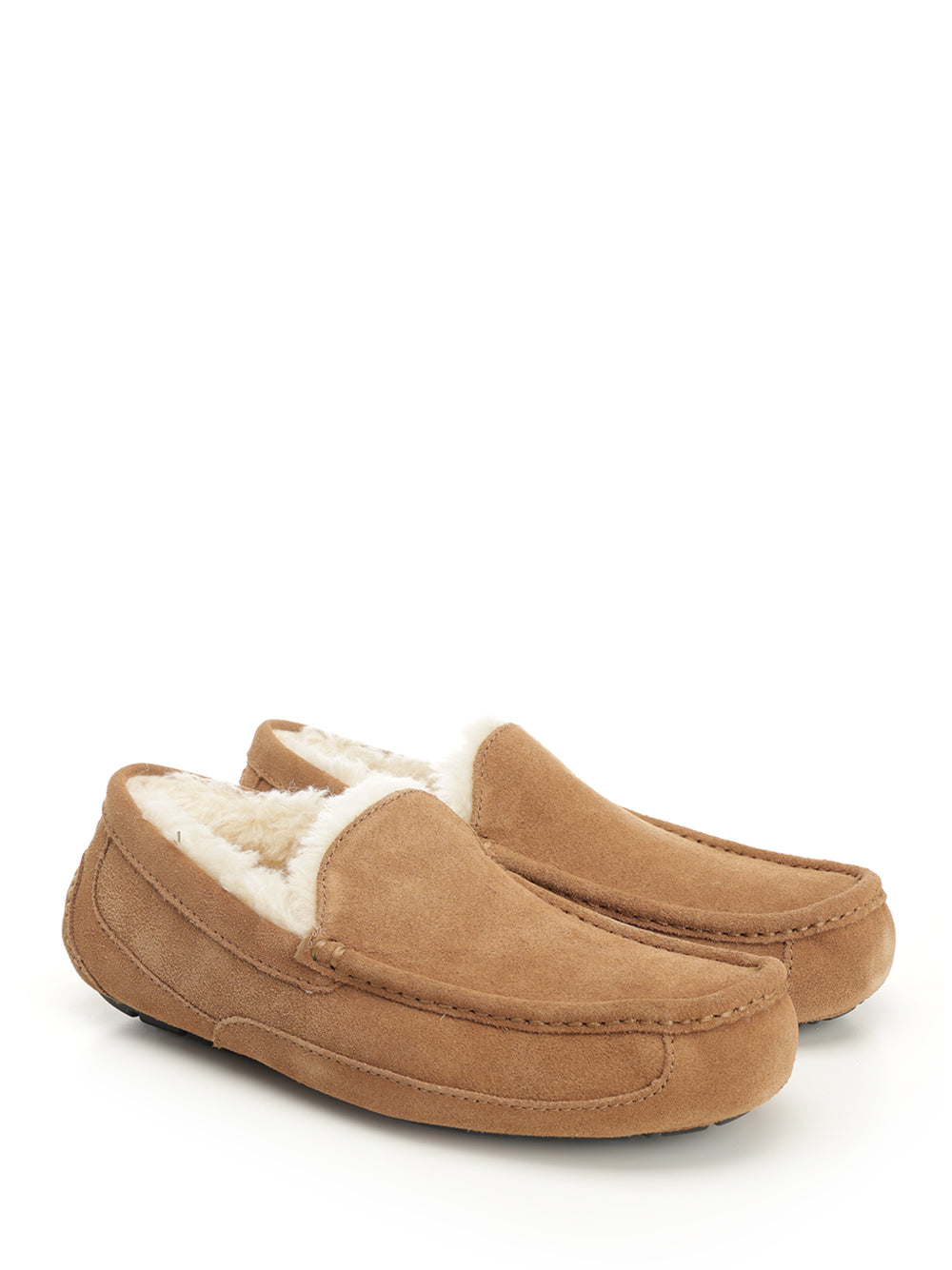 Ugg Ascot Scarpe basse - Marrone | 9e7ef5ca302b69fc616db69f52dbd398a0b76b2e