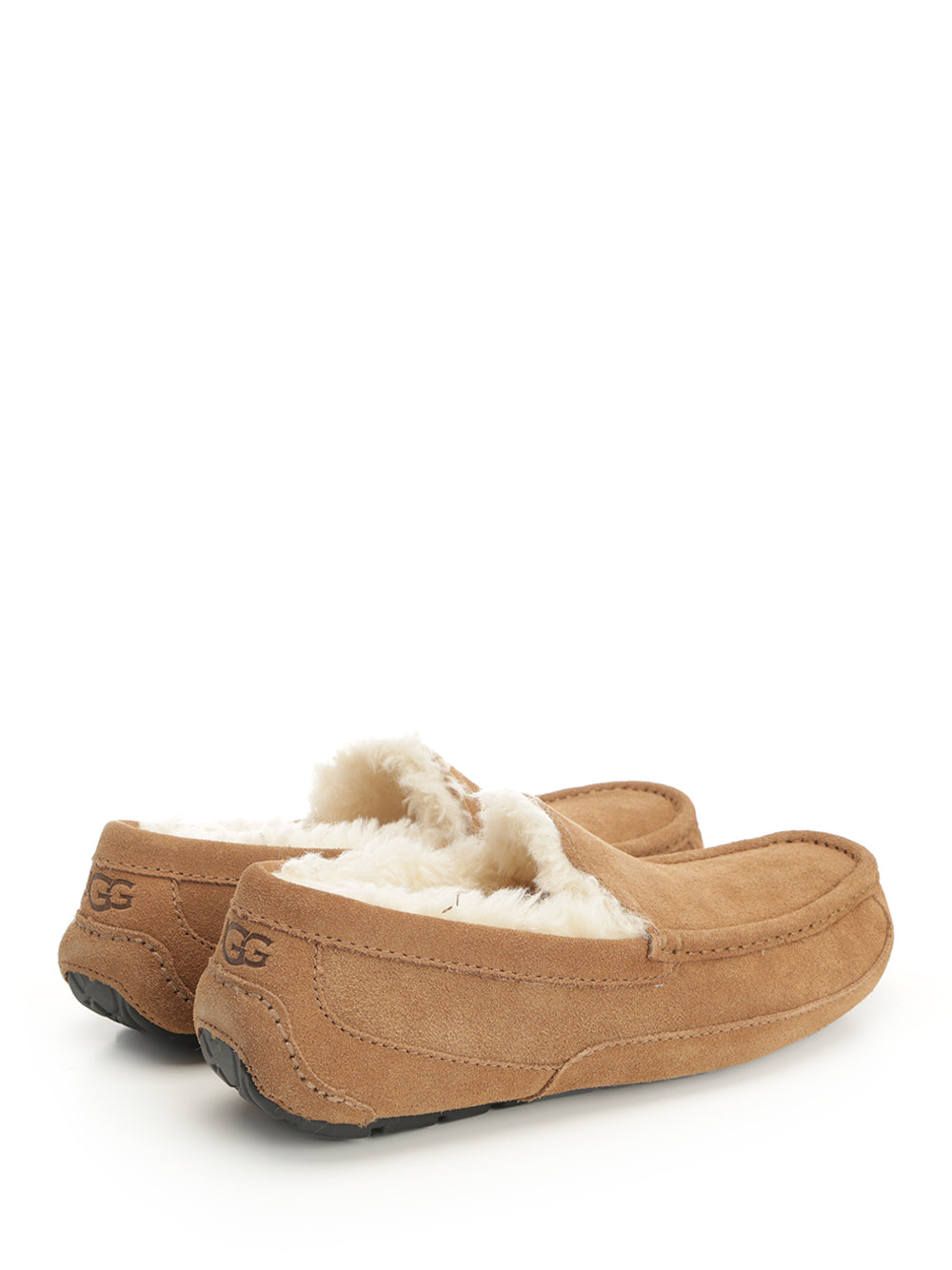 Ugg Ascot Scarpe basse - Marrone | 5a43b23f9a39ef7ce2f7d03f9664d8fcc34d27bc