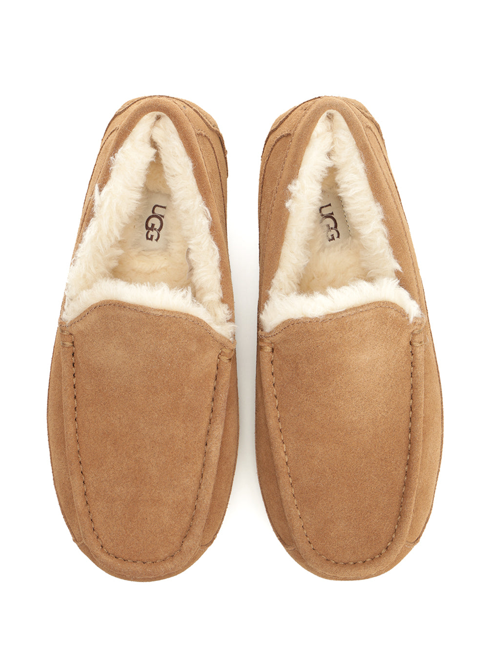 Ugg Ascot Scarpe basse - Marrone | 15b787c1c9e884924048026dccab391520f1fc7e