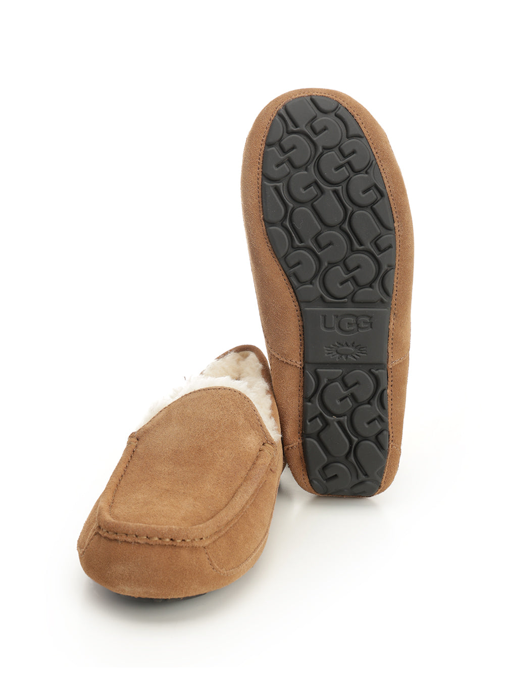 Ugg Ascot Scarpe basse - Marrone | 359e4c11364d3746717ff63c58a945840b4b1382