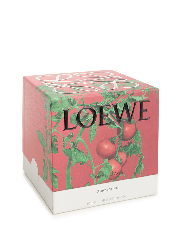 Loewe Medium Tomato Leaves Candle arredamento - Rosso | 5d67fcf0a87be9faf1c386c9077be71a46eeb86f