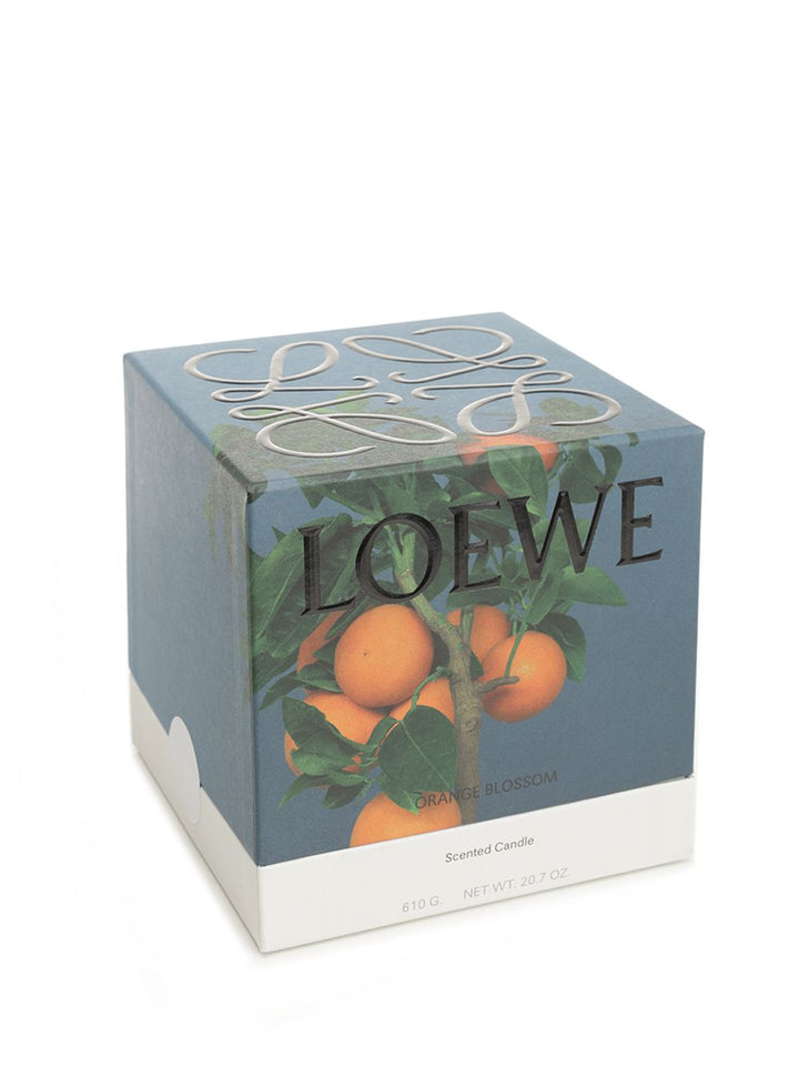 Loewe Medium Orange Blossom Candle arredamento - Arancione | 7f809d049074959c2e50d8de58e8abeb1911a5b4
