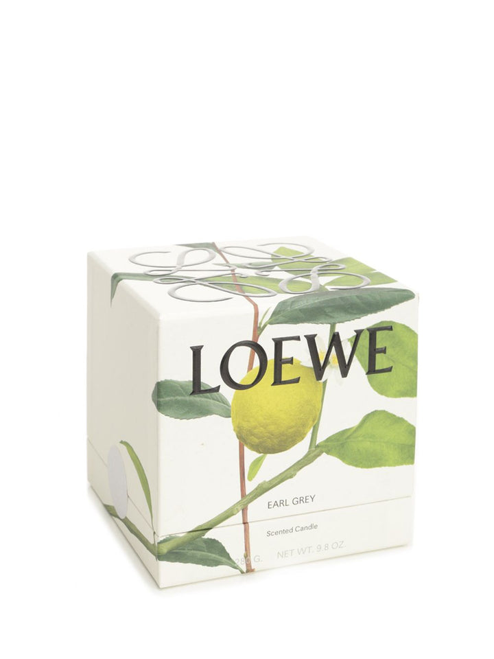 Loewe Earl Grey Midi Scented Candle arredamento - Oro | 7fb4f7e2e987a19b0fffdf4cb66b6fc89d839350