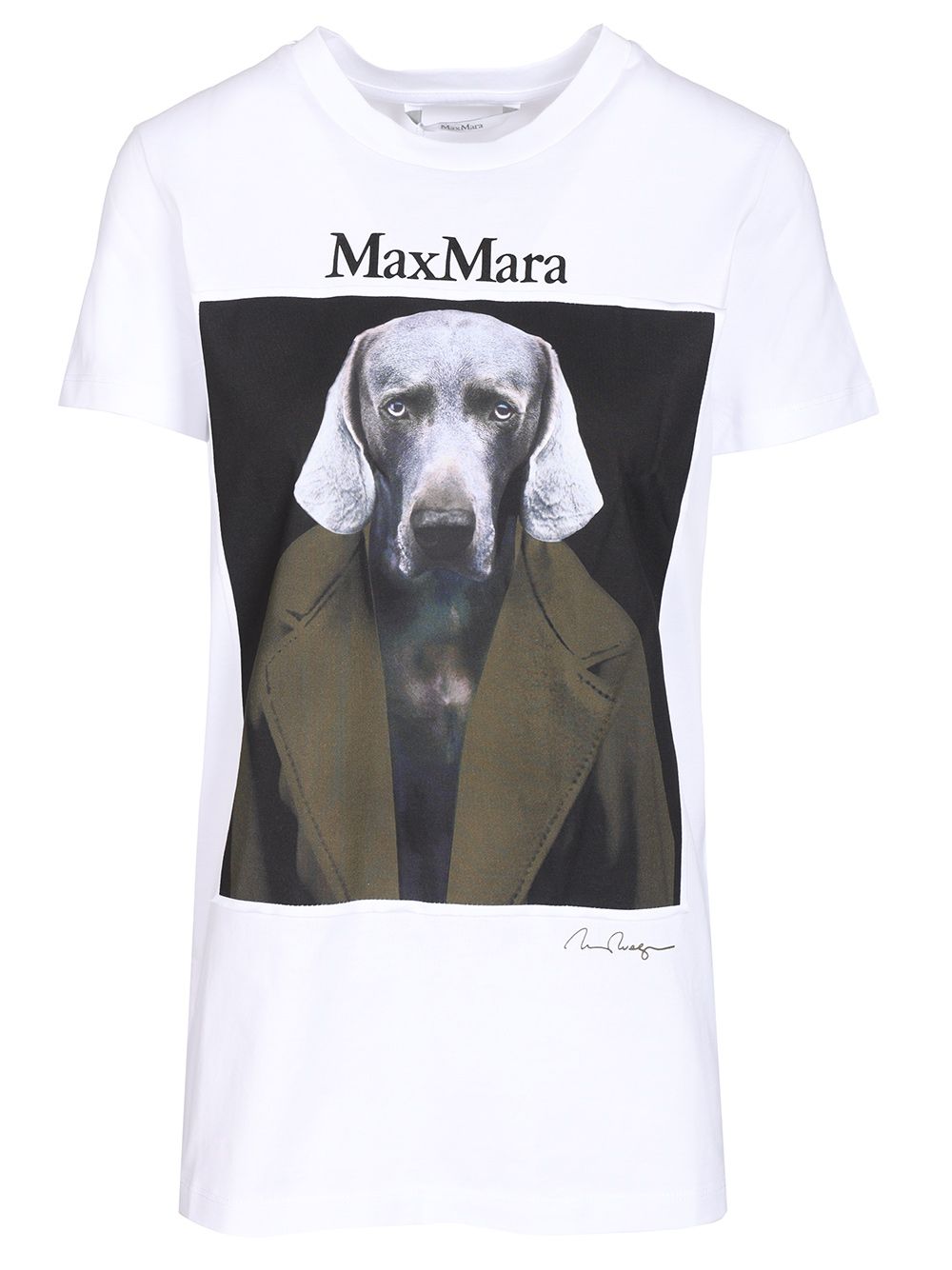 Max Mara Calca Tshirt Cotone Dog Print Khaki Coat T-Shirt - Bianco | ed19744ec5e7149669e9a7db6aaefff80b3e0e88