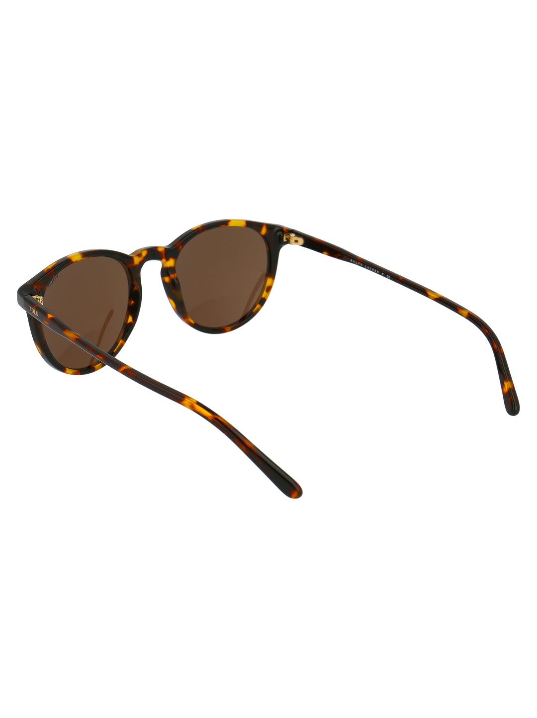Polo Ralph Lauren SUNGLASSES - Havana | 143aefd5b9cdb1bfaaa60b0f5242ebb56833f60f