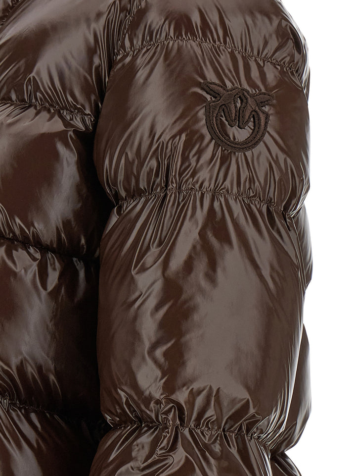Pinko Eleodoro Puffer Jackets - Marrone | 1a6d6c288005f31282724b091759b74d2a0efea7