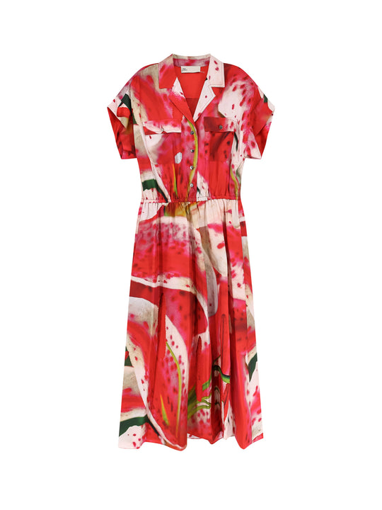 Printed Silk Chemisier/Dress