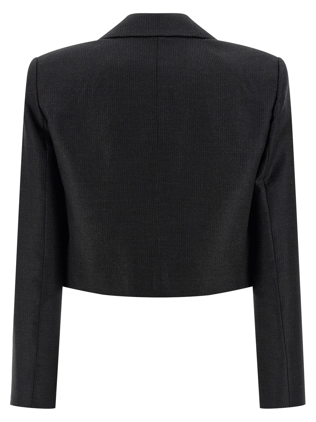 Pinko Eliana BlazerS - Grigio | 173ad4b5c255620a572aca45693149d98a79ba6d