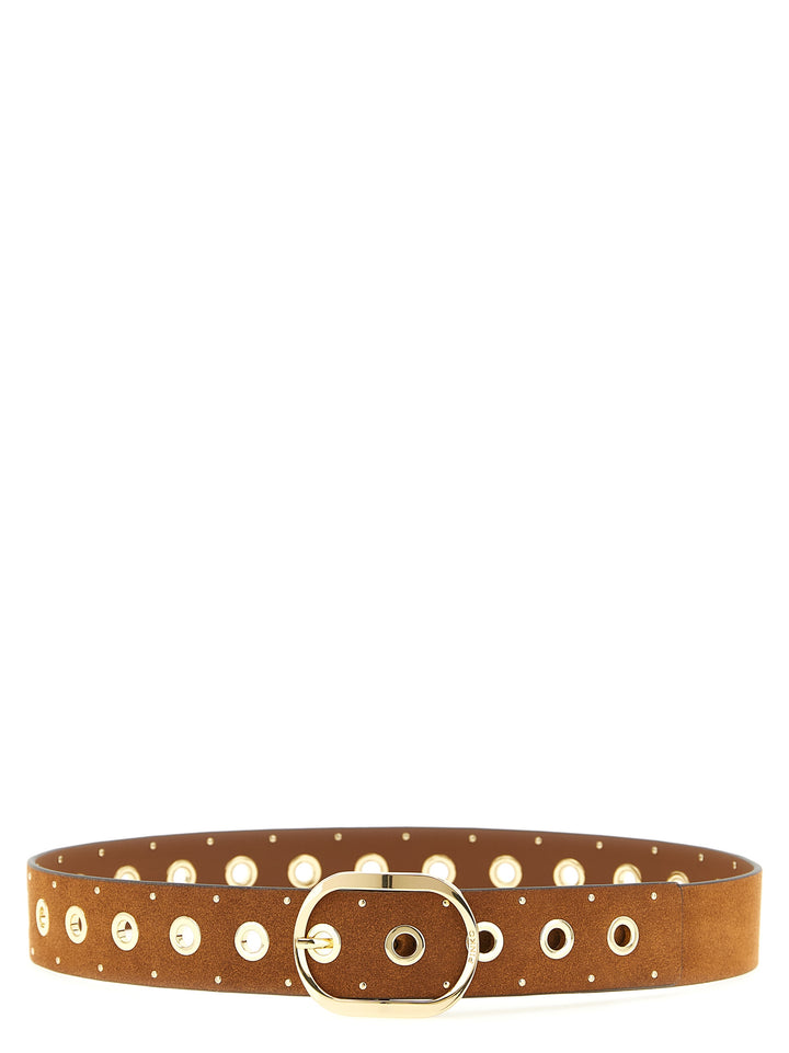 Pinko Studded Belt Cinture - Marrone | 32033af6a7d2ffd1a1bd1a5005decce9fb5b424a