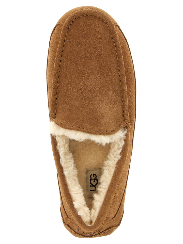Ugg Ascot Mocassini - Marrone | 33e8e75cd8d1a69b1b2cd30650fb38fdafab6ccc