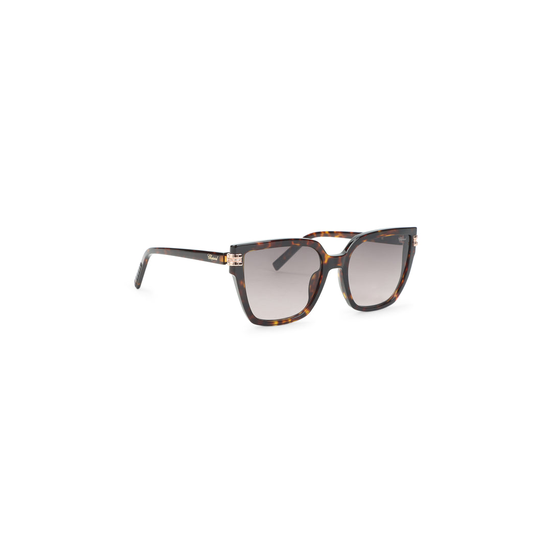 Chopard Eyewear Occhiali da Sole - Marrone | bddc58b11a0727e3895dbc851074b5903fad701b