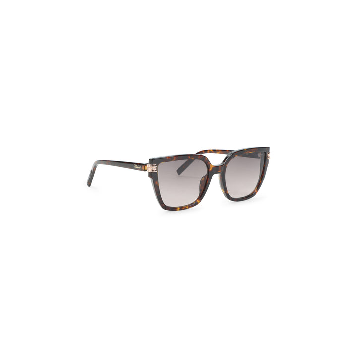 Chopard Eyewear Occhiali da Sole - Marrone | bddc58b11a0727e3895dbc851074b5903fad701b
