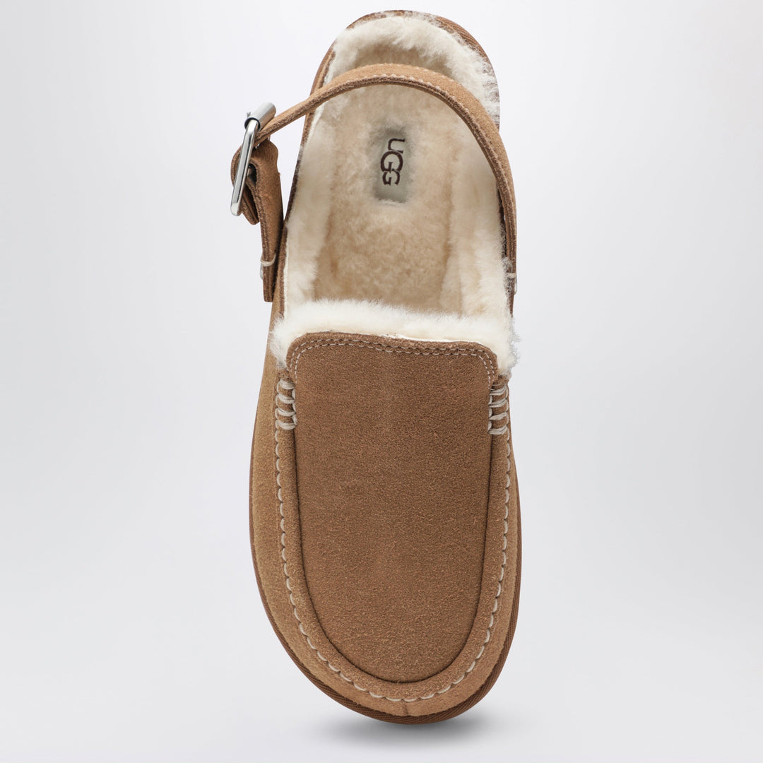 Ugg Scarpe - Beige | 287ed231cfe3d8eeef502d04d7ee985a033a6557