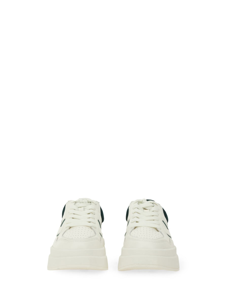 Ash Sneakers - Bianco | Wanan Luxury