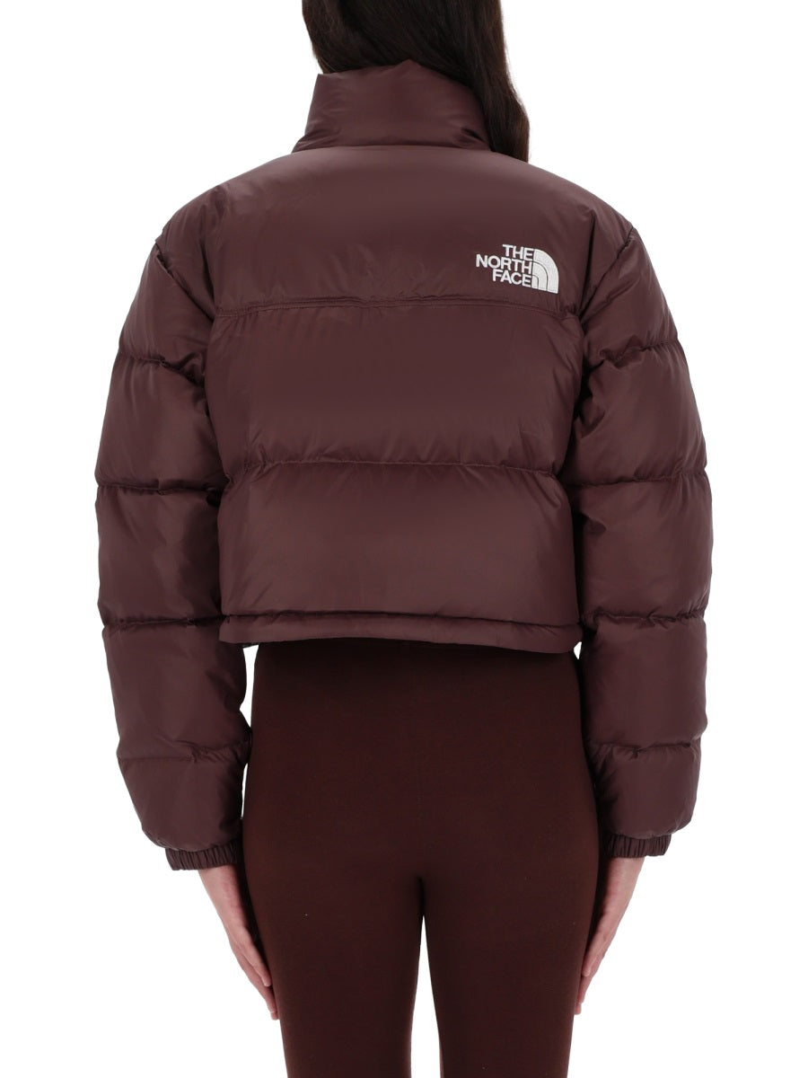 The North Face Giacche - Marrone | Wanan Luxury