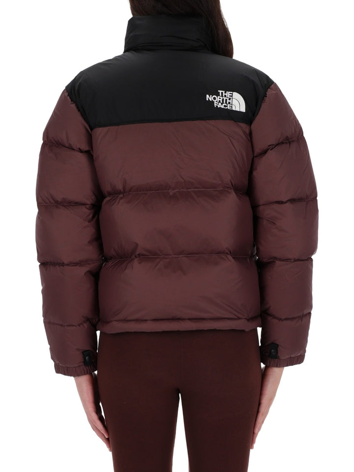 The North Face Giacche - Marrone | Wanan Luxury