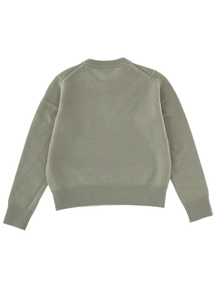 Maison Kitsuné Maglioni - Verde | Wanan Luxury
