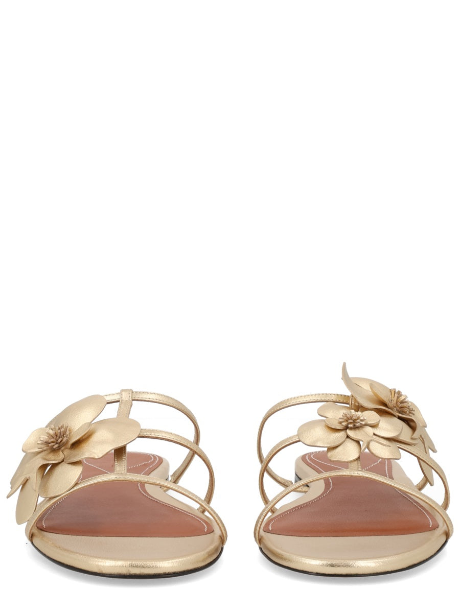 Zimmermann Sandali - Gold | 58c4a728a255bd8e069793e7ea28039d8b790a38
