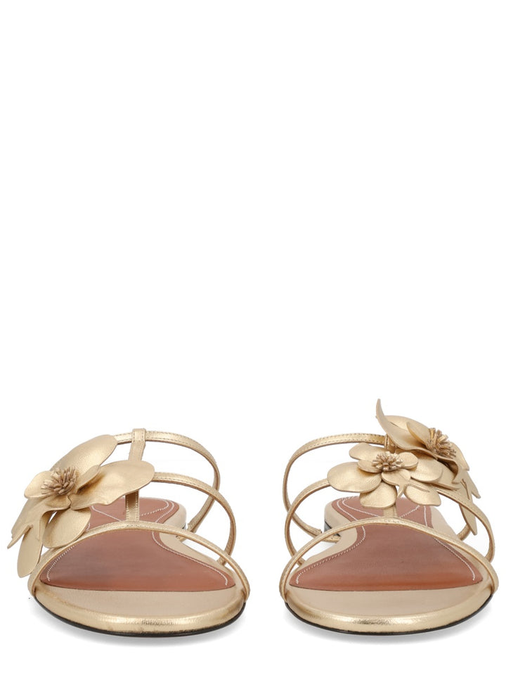 Zimmermann Sandali - Gold | 58c4a728a255bd8e069793e7ea28039d8b790a38