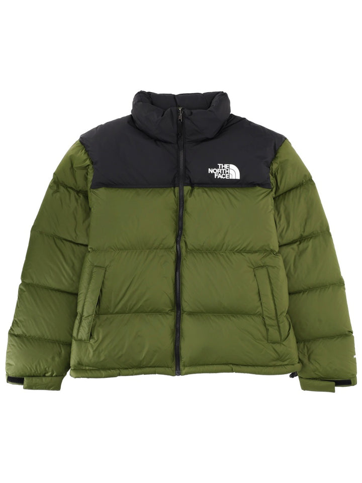 The North Face Giacche - Green | 491f3bc93f12a3ac214a51a760e30abeb40ecdcf