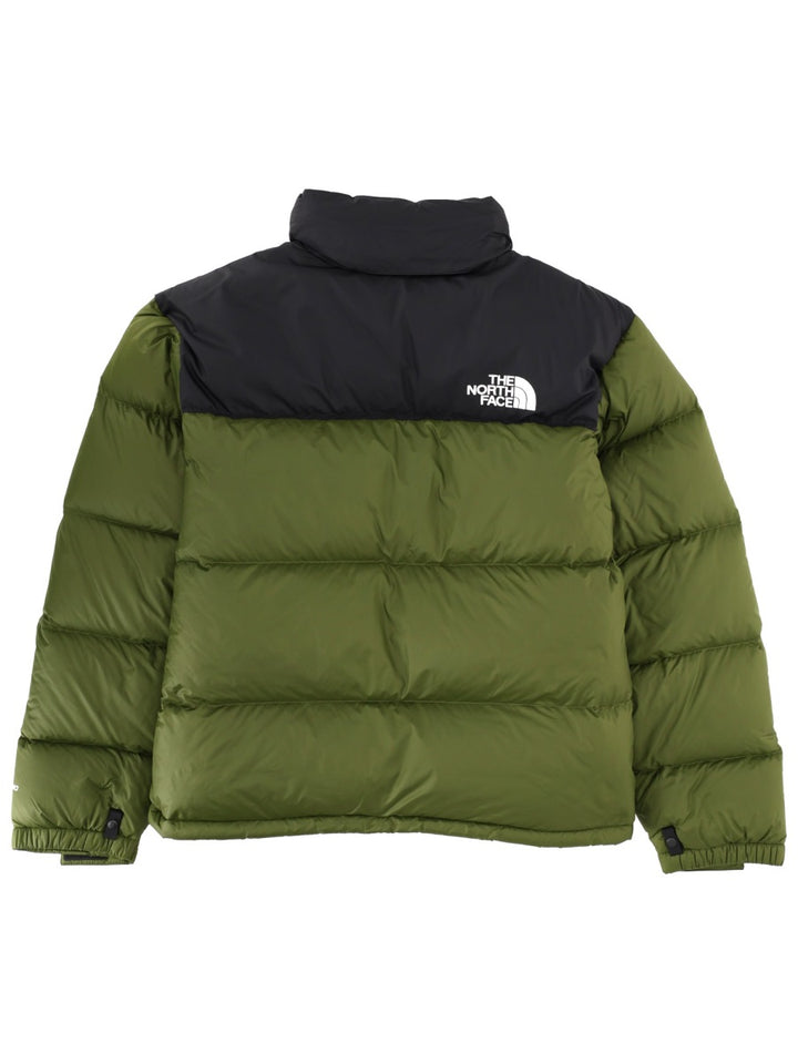 The North Face Giacche - Green | d68dcda1ed7a7ccd64ebbb12e99e6918436a9b2d