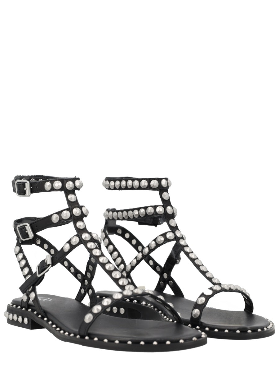 Ash Sandali - Black | 3bf008424e7144ba97714739b6267f55fdf9bc7e