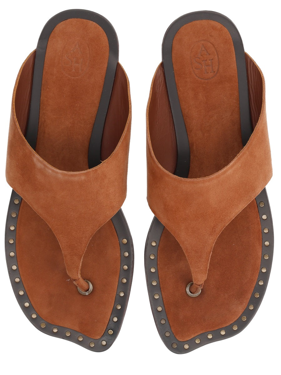 Ash Scarpe Basse - Brown | 9d9e8d3d1e0afea7585c156363cbef1eb10f47af