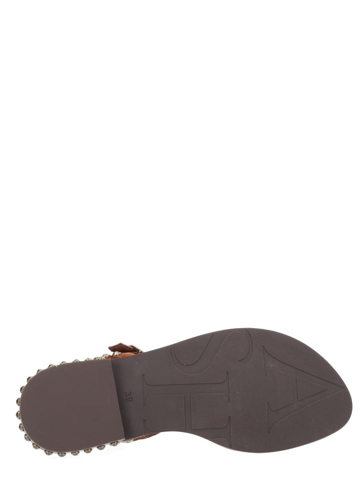Ash Sandali - Brown | cbdf71bb6e927359fe1230159aaa72a40931a277