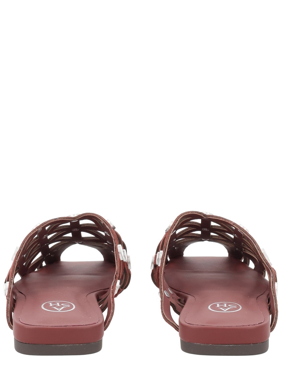 Ash Scarpe Basse - Brown | fd5823cec50168e1b4f539bbf27102acc6862ac3