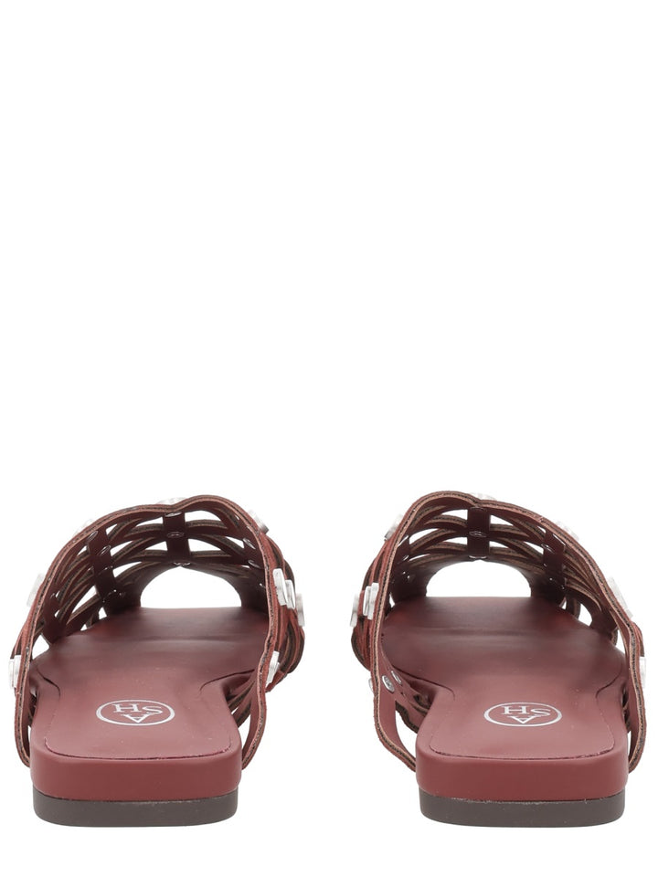 Ash Scarpe Basse - Brown | fd5823cec50168e1b4f539bbf27102acc6862ac3