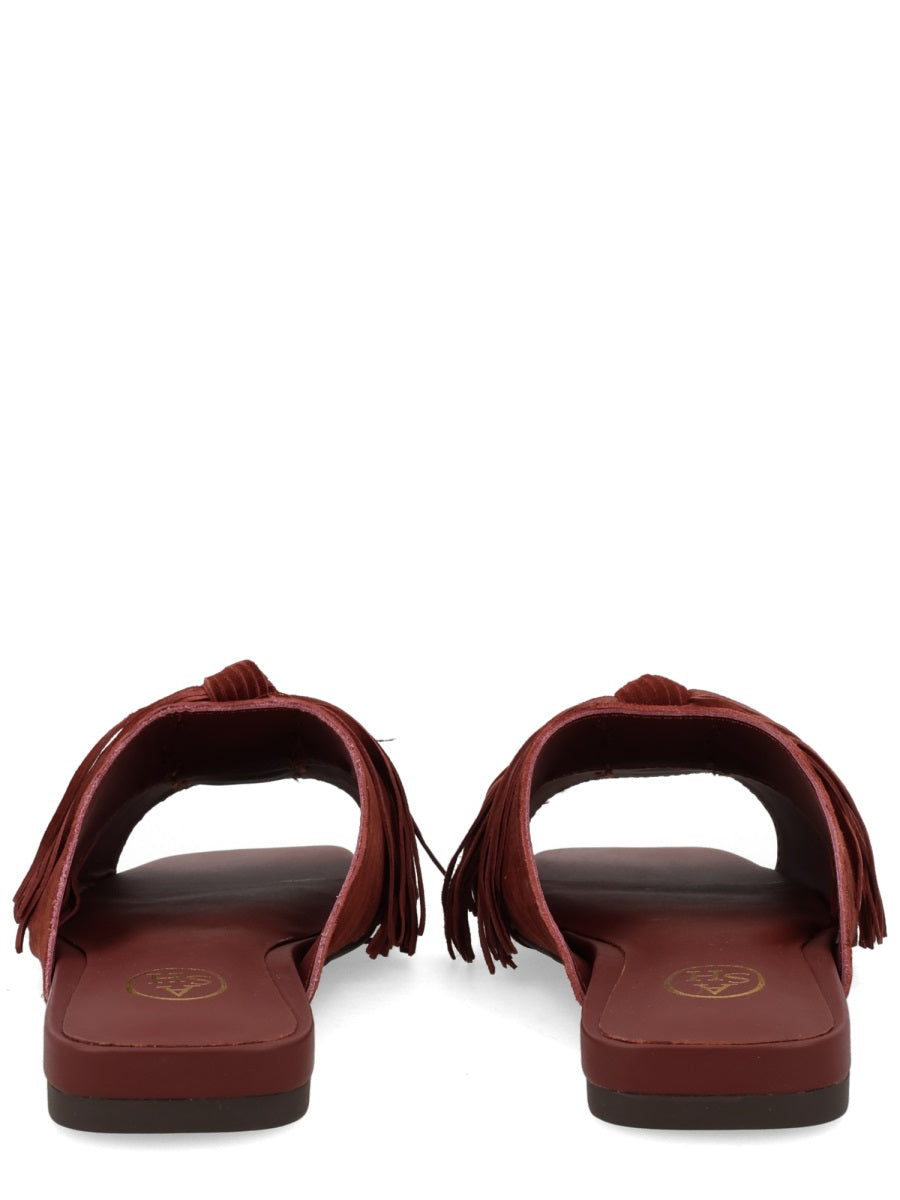 Ash Scarpe Basse - Brown | 53e0d7adbe6f6acf0e6526bf7bb527167c2025c6