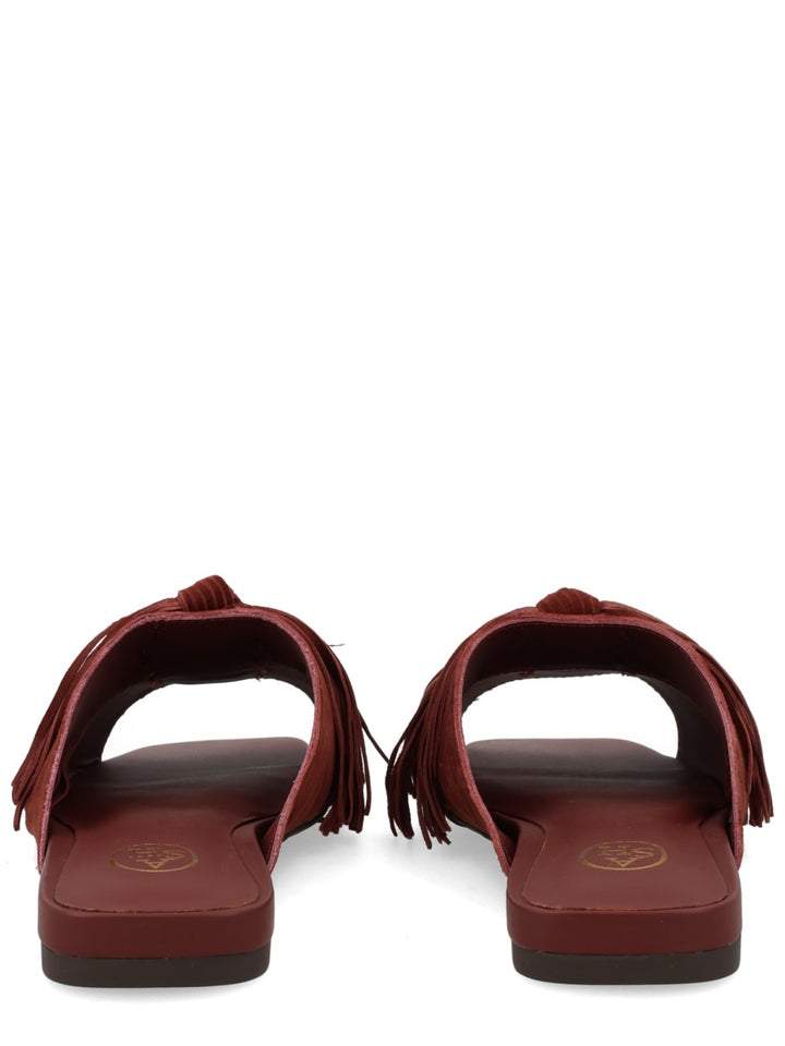 Ash Scarpe Basse - Brown | 53e0d7adbe6f6acf0e6526bf7bb527167c2025c6