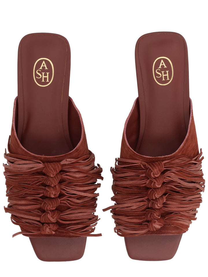 Ash Scarpe Basse - Brown | 6256fa3a5ddddb0da530e7b336b273c2abf2f3b2