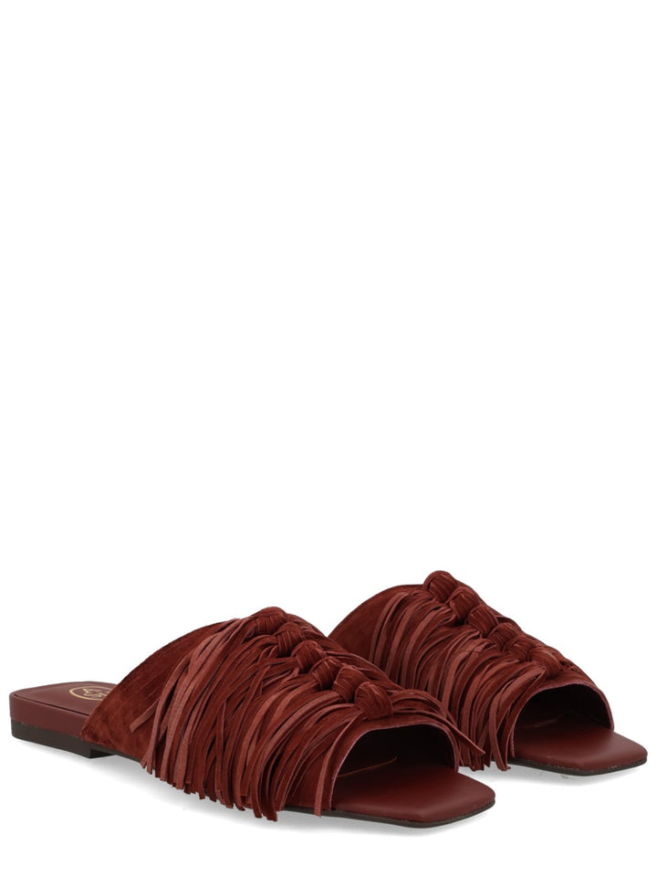 Ash Scarpe Basse - Brown | 0acd4704b2a2b9671cb19cabf48e9f97fafa615c