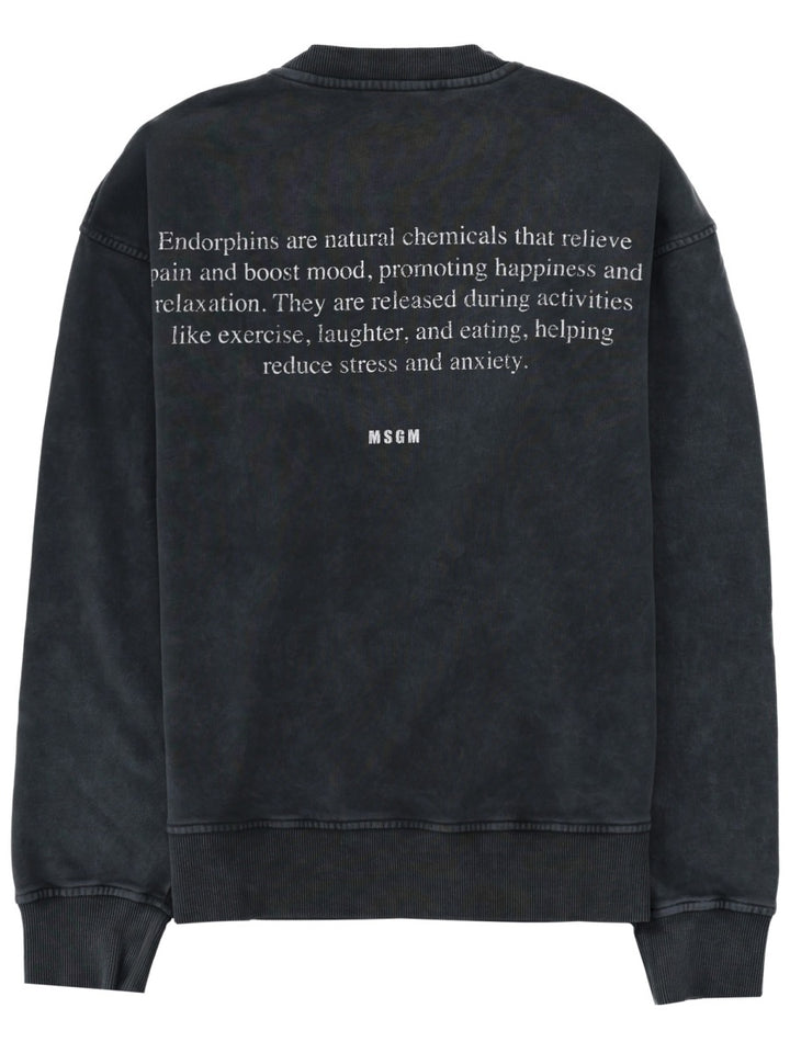 Msgm Felpe - Charcoal | 56b3b454fe5b85ca0bcff267829c472eeb4c0f2e
