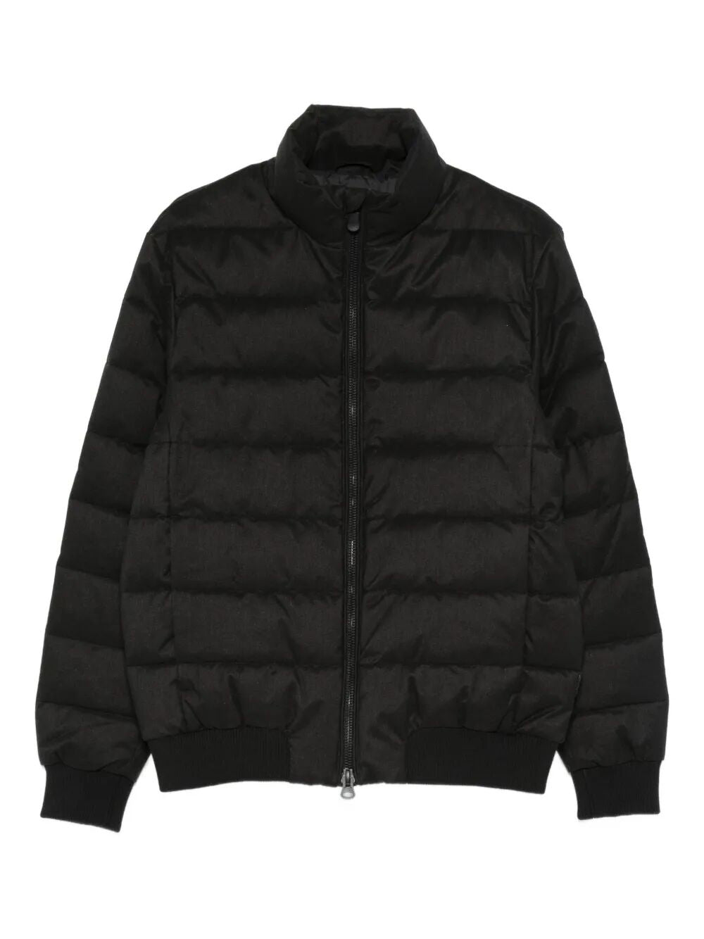 Save The Duck Down jackets - Nero | 290c24566eeb5d8199d8abda2fe4a6d81c9f4e10