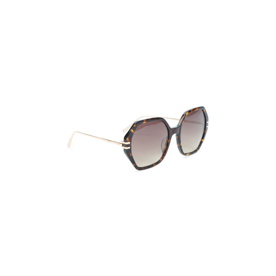 Brown Acetate Sunglasses