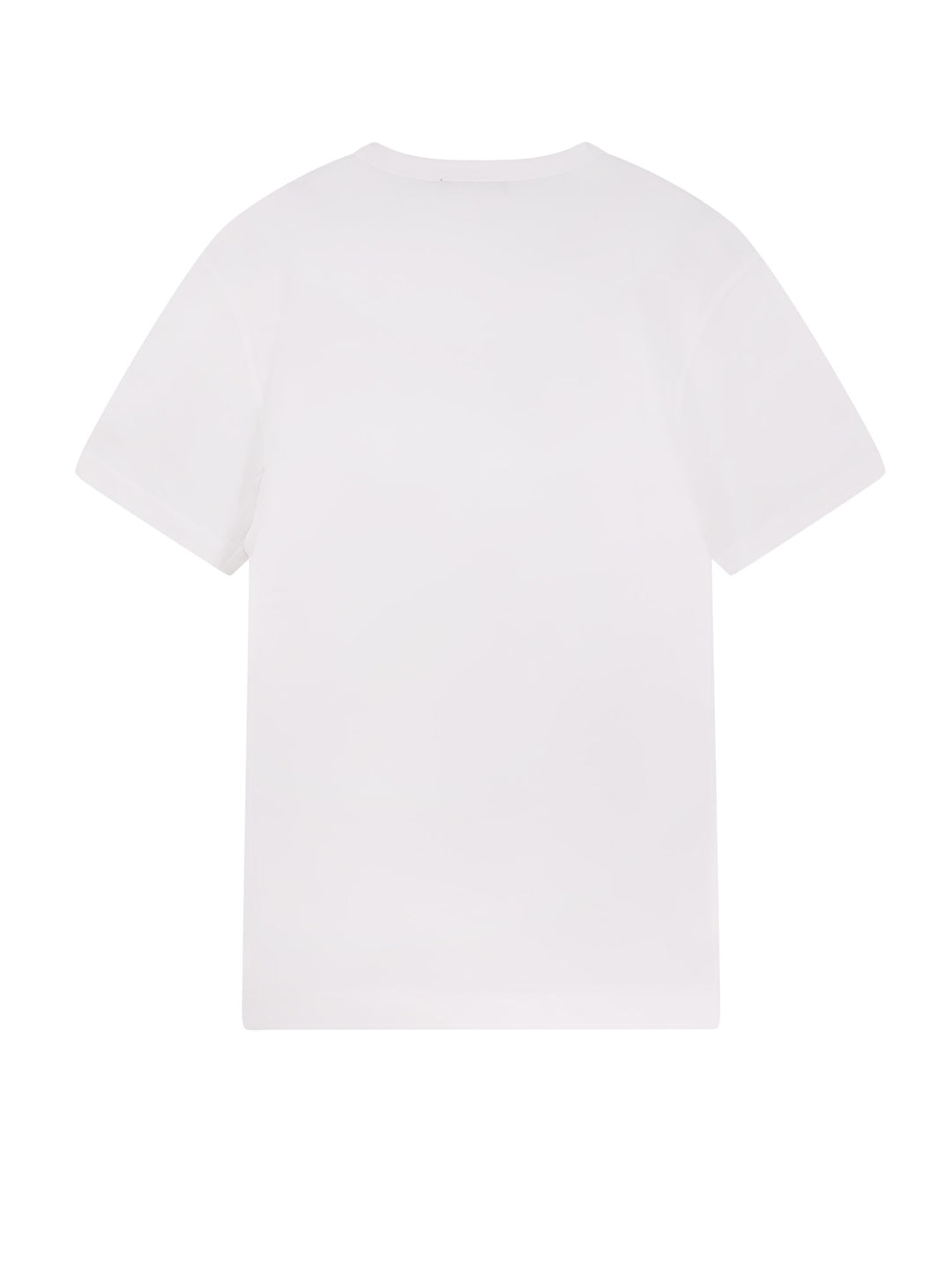 Dolce & Gabbana T-shirts and Polos - Light and natural | c7a62c858f27e27d75574cf160efe285e2adeb0f