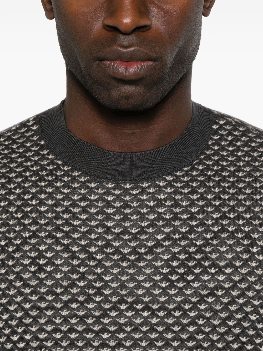 Emporio Armani Sweaters - Blacks and greys | 171dda52dba11ff9e09286bca899cb9fcd90c2dc