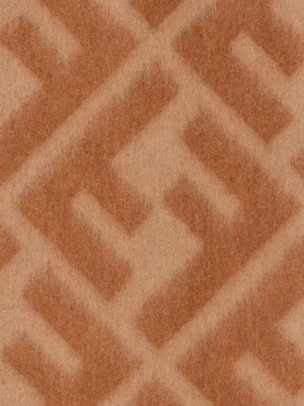 Fendi Scarfs - Marrone | ca88ee1830022a348a03676a583fe00a77be44a4