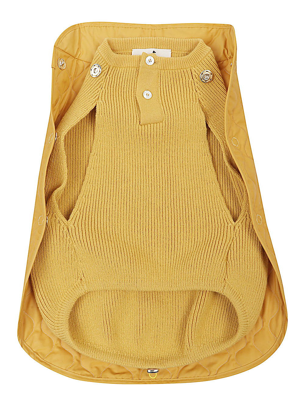 Poldo Dog Couture Accessories - Bright | 77ada582b8e98371a606057da2b95b7366233f76