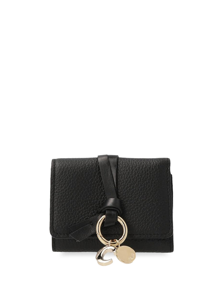 Chloè Wallets - Blacks and greys | f6f324961188e3b17944b3cd0b315c9cdaa7b6b4