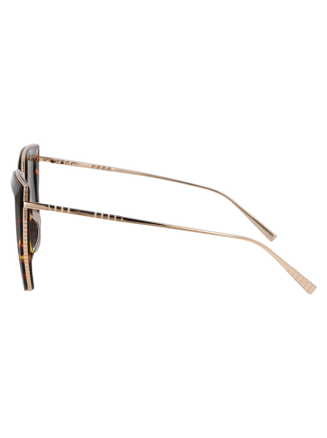 Chopard SUNGLASSES - Marrone | 4c43d65935339fa8c38dd3116c76108ca02852d8