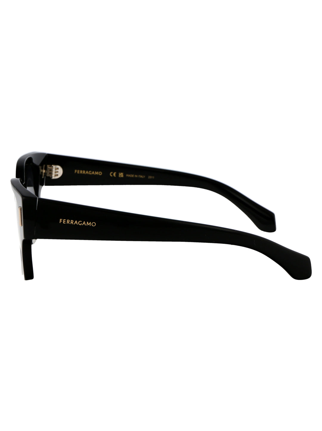 Salvatore Ferragamo SUNGLASSES - Nero | f193a532e4c0a4c426f31260fa85936dc41ff5c2
