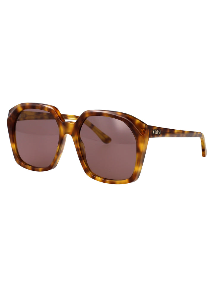Chloe SUNGLASSES - Havana | d2c588eb7695836c846e1c026beddfce003a1d27