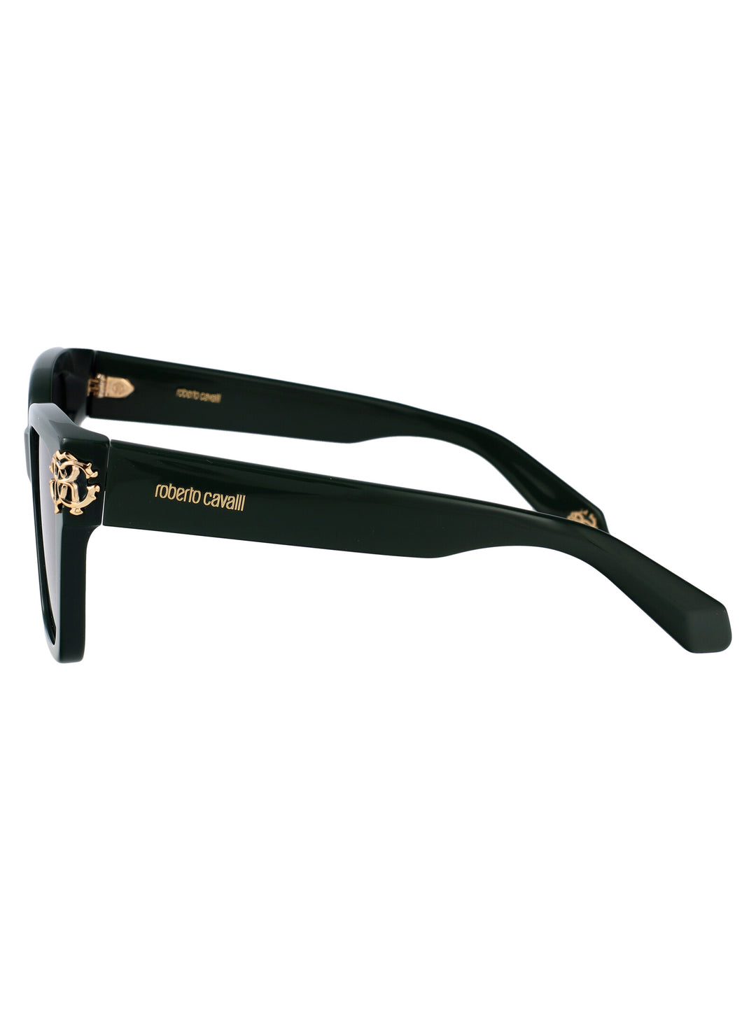 Roberto Cavalli SUNGLASSES - Verde | b402775c18f55dfab9729439de9d4705fe62203c