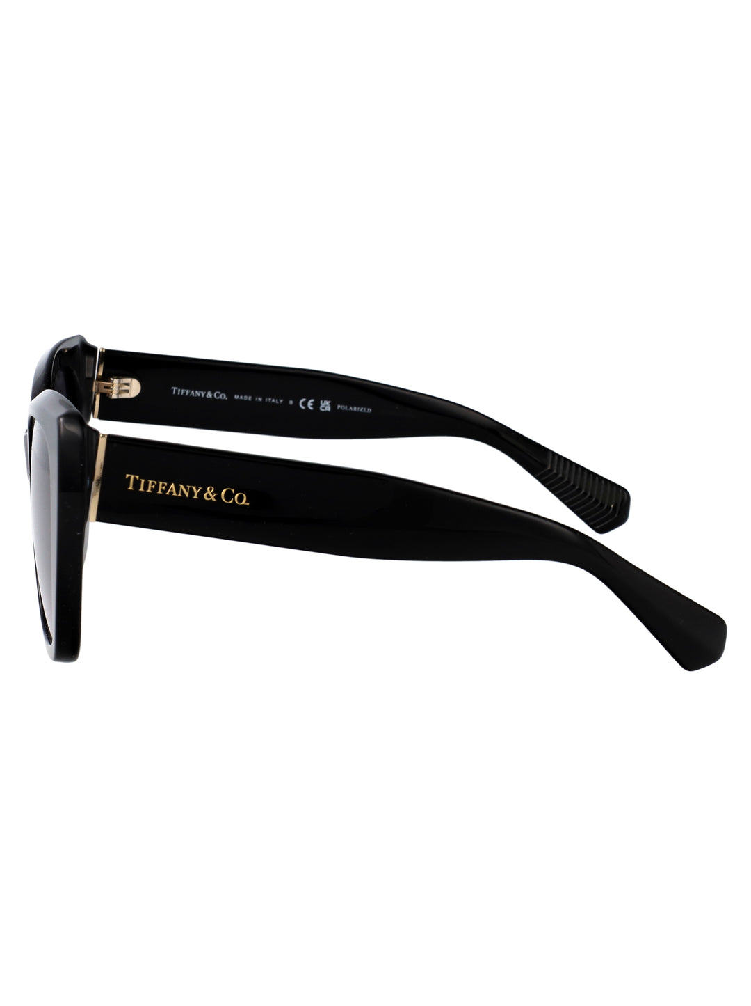 Tiffany & Co SUNGLASSES - Nero | 85da6c5a509034c6b6cfc056b379ce13f29de2d8